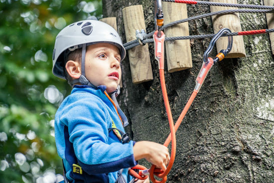 Immagine di Andata e ritorno + Parco Avventura 6+ anni