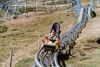 Picture of 50 rides Coaster Bob 