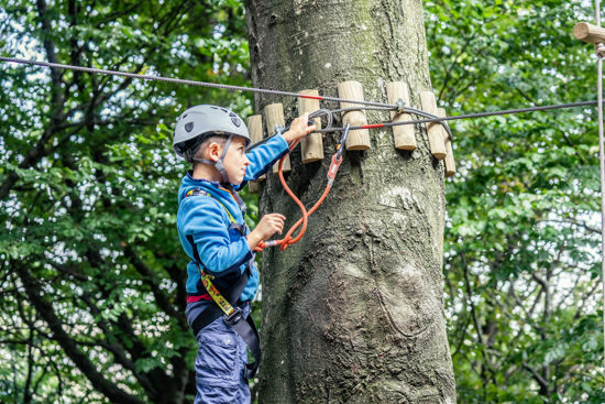 Immagine di Buono Parco Avventura 4 e 5 anni