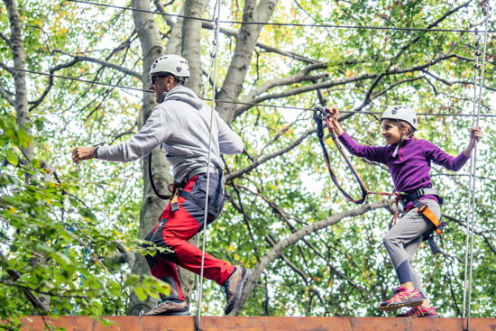 Immagine di Buono andata e ritorno + Parco Avventura 9-15 anni